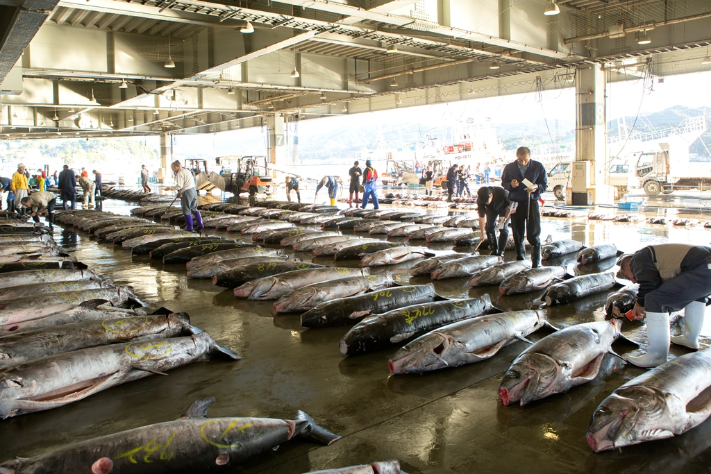 鮮魚小売販売