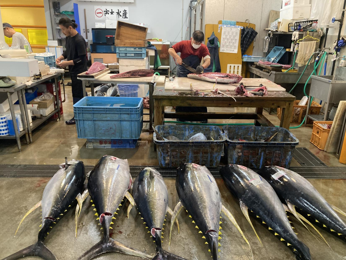鮮魚の仲卸事業